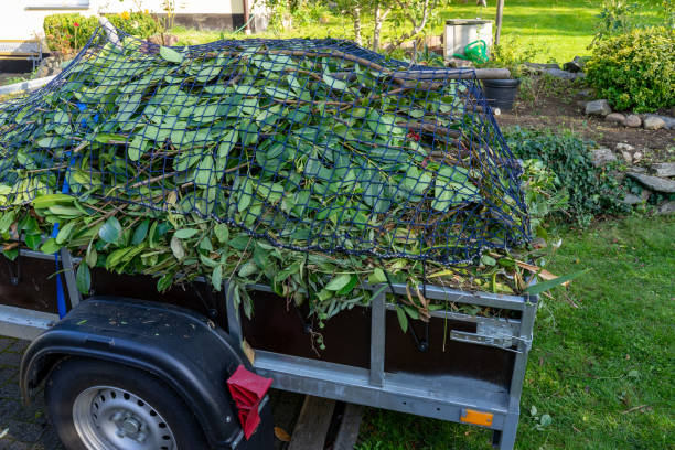  Carmel, IN Junk Removal Services Pros